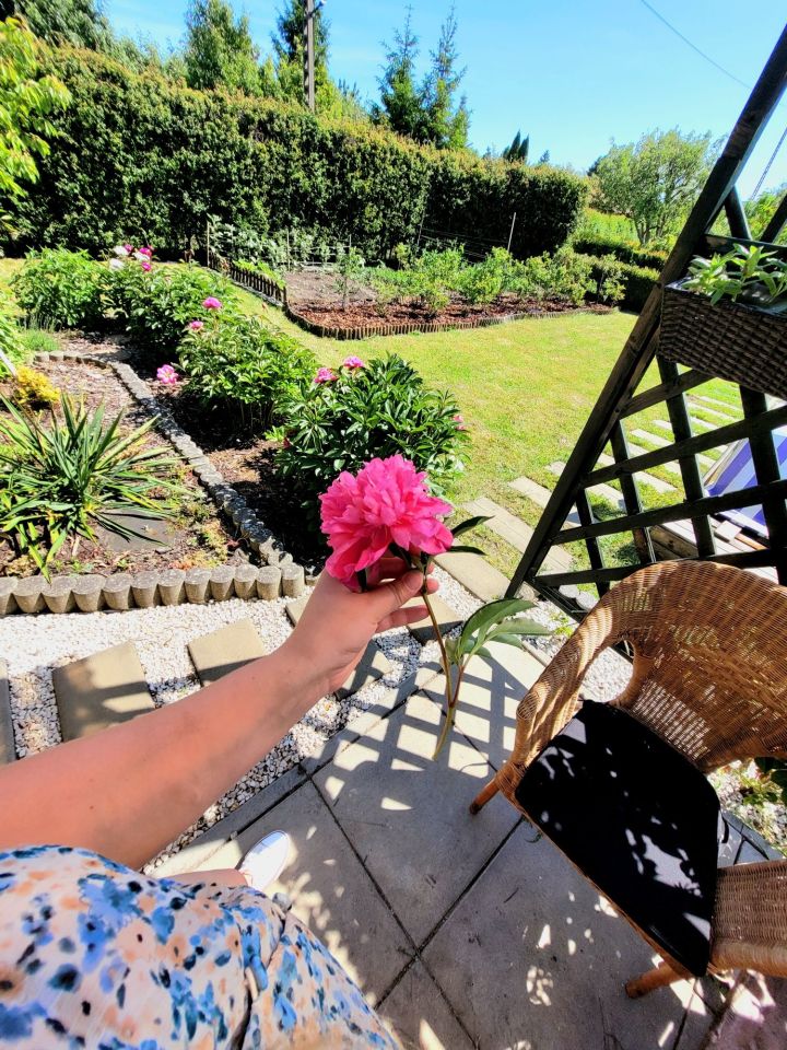 Działka rod Rumia, ul. Kosynierów. Zdjęcie 2