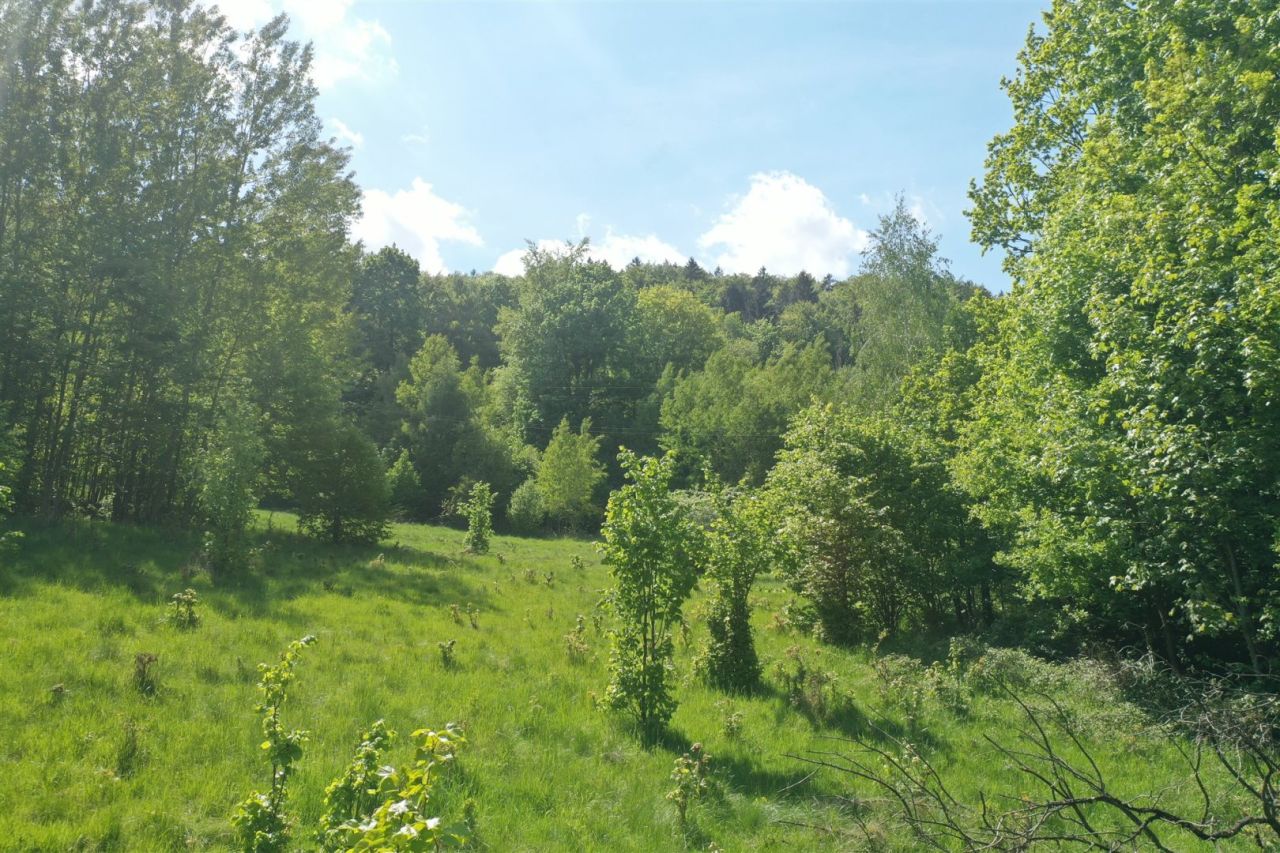 Działka budowlana Piechowice. Zdjęcie 6