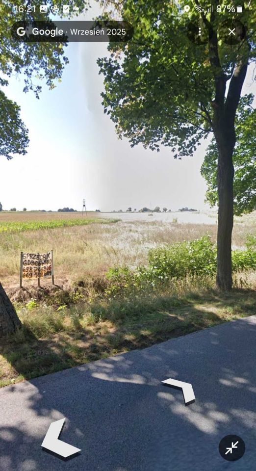 Działka budowlana Zieleń. Zdjęcie 2