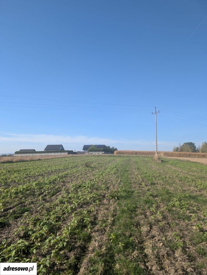 Działka budowlana Frydrychowice, ul. Górna. Zdjęcie 8