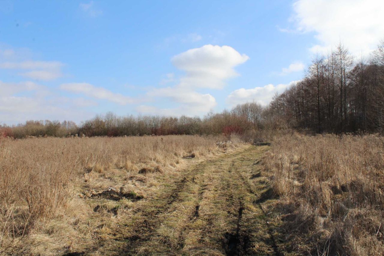 Działka rolna Kwik. Zdjęcie 4