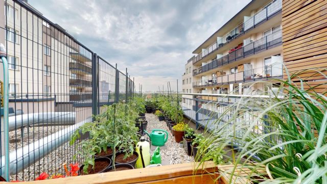 Mieszkanie 4-pokojowe Warszawa Białołęka, ul. Winorośli. Zdjęcie 24