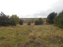 Działka rolno-budowlana Starachowice Michałów Górny, ul. Fryderyka Lempe. Zdjęcie 3