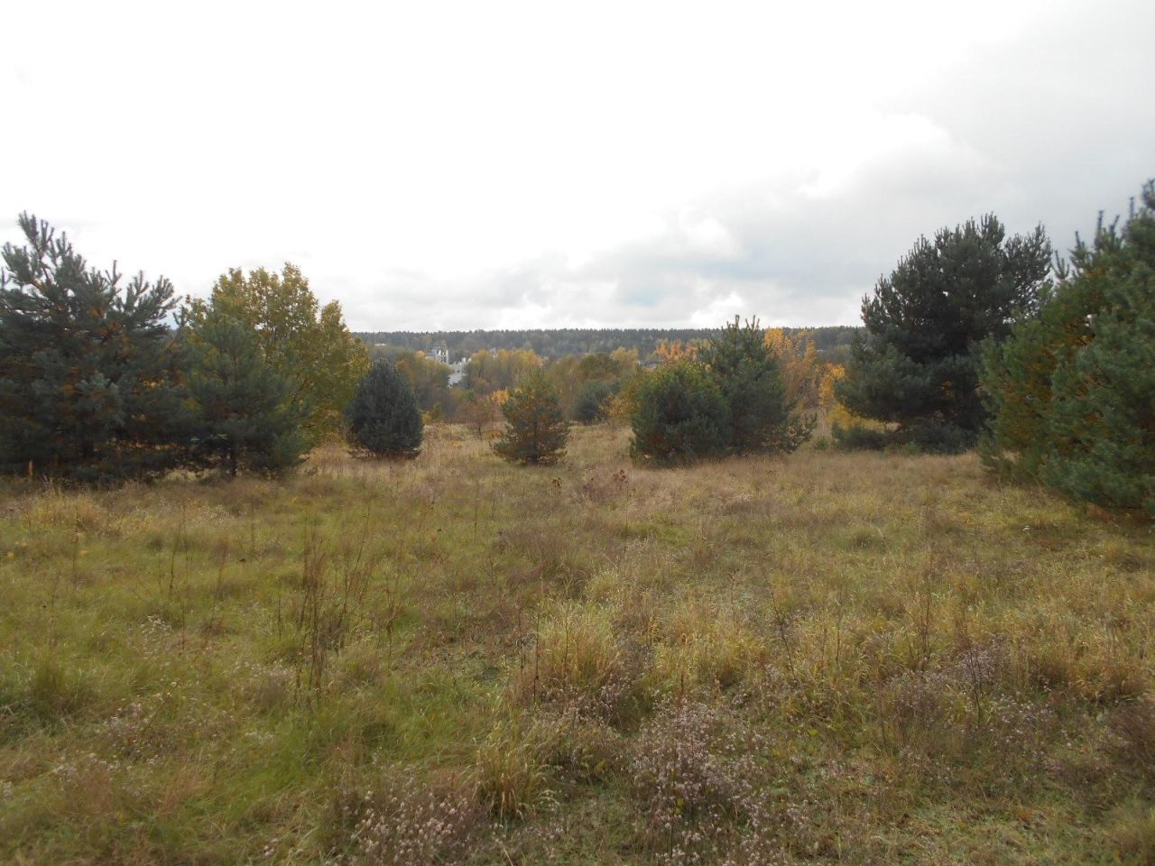 Działka rolno-budowlana Starachowice Michałów Górny, ul. Fryderyka Lempe. Zdjęcie 4