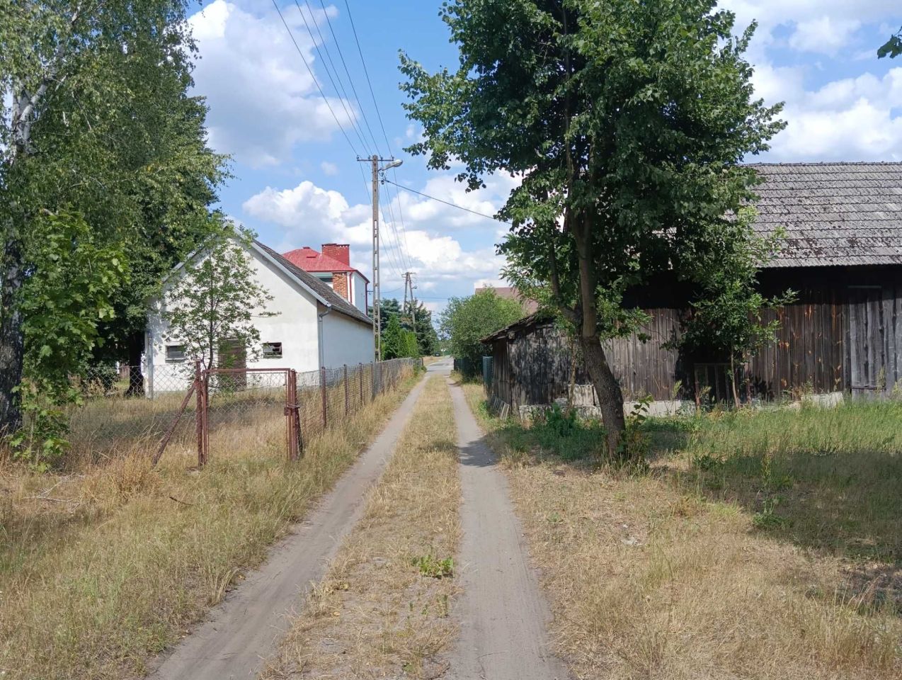 Działka rolna Rudnik nad Sanem. Zdjęcie 4