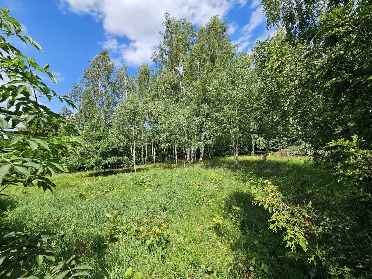 Działka rekreacyjna Urowo Murawki. Zdjęcie 6