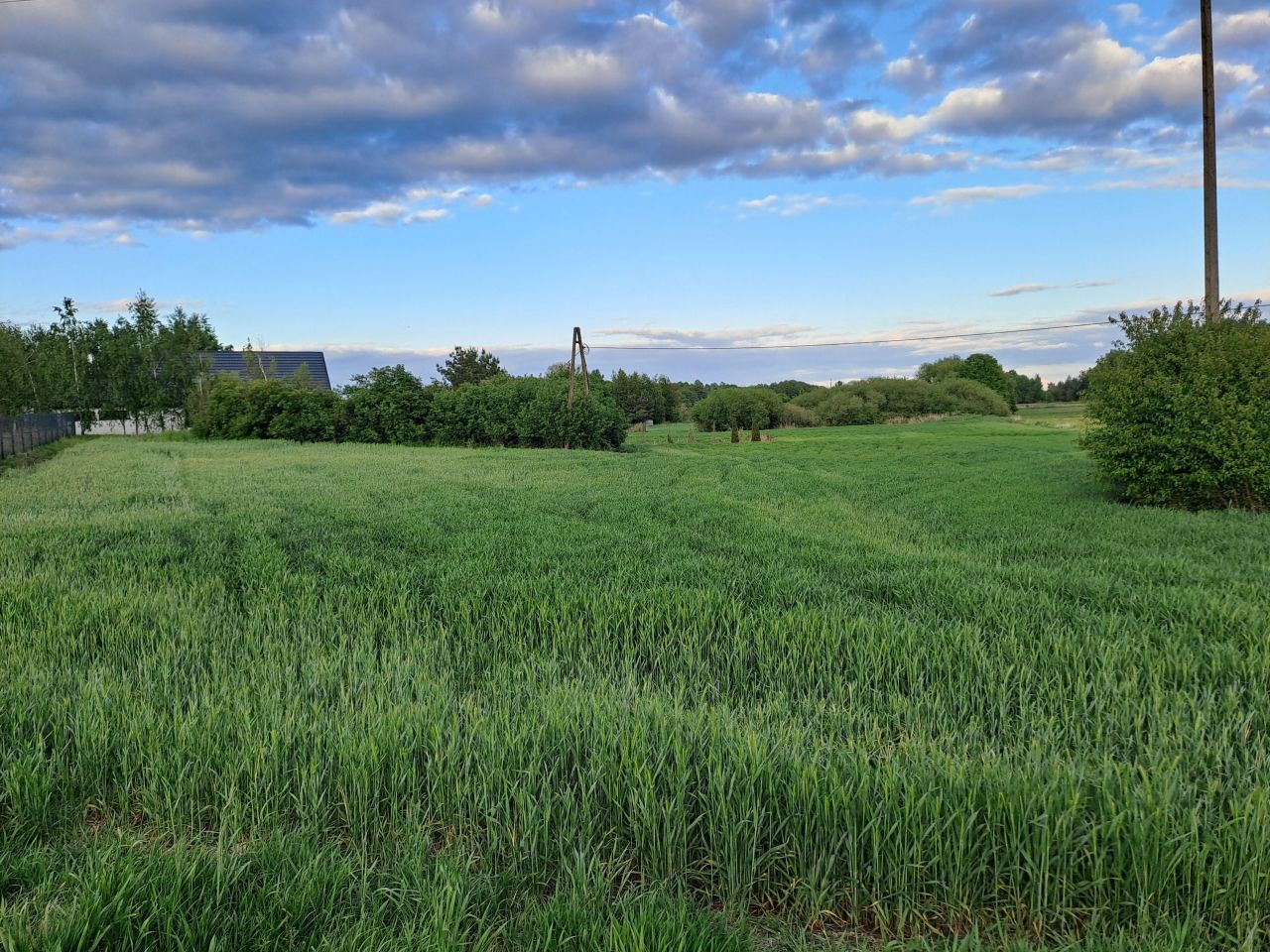 Działka rolno-budowlana Zajezierze