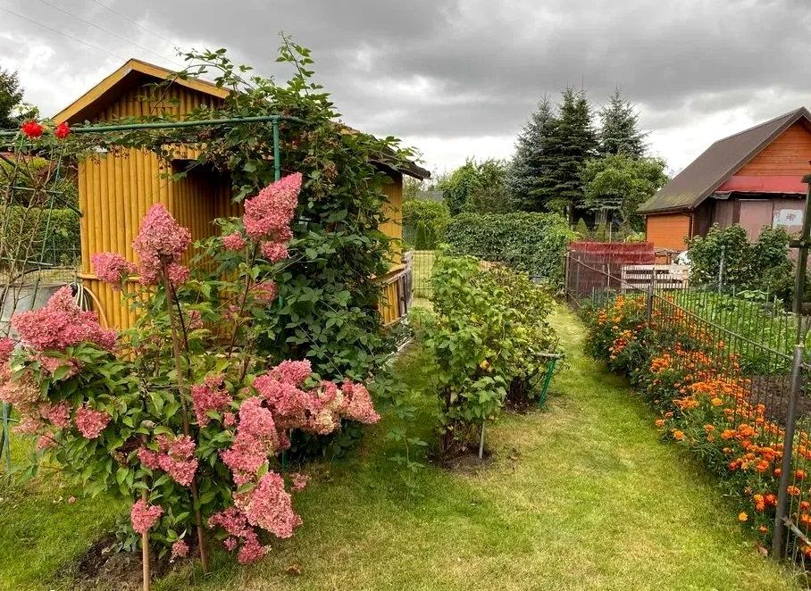 Działka rod Białystok Wygoda, ul. Krzysztofa Pendereckiego. Zdjęcie 7