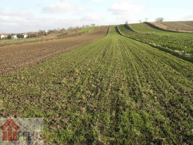 Działka budowlana Proszowice Podgórze. Zdjęcie 8