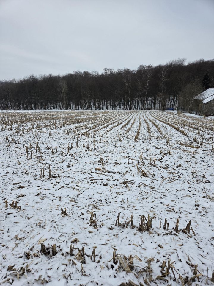 Działka rolno-budowlana Rawałowice. Zdjęcie 8
