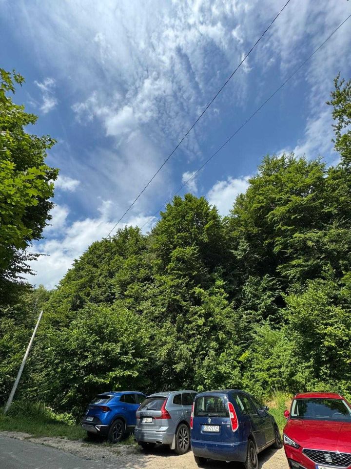 Działka leśna Jerzmanowice. Zdjęcie 3