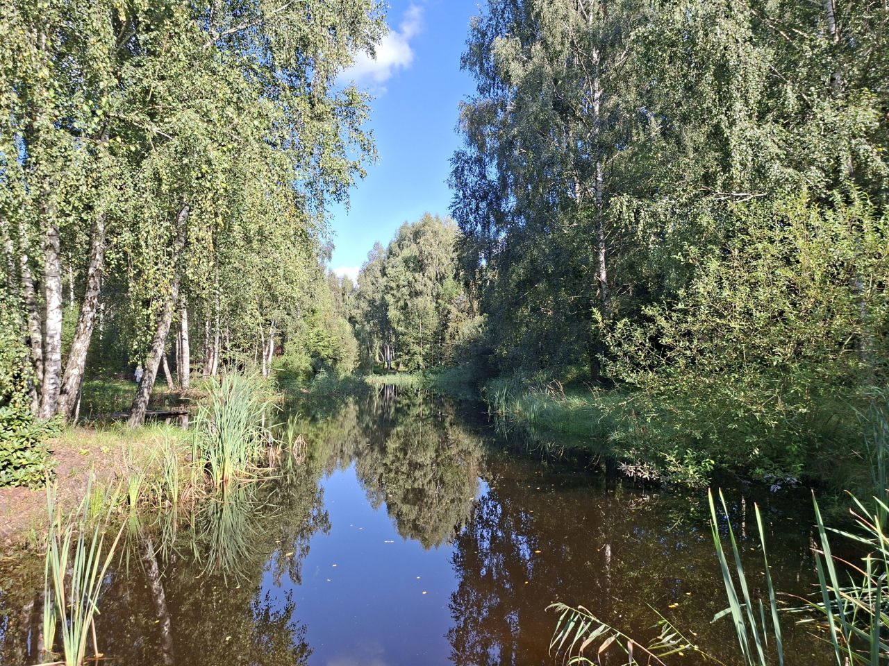 Działka budowlana Starzykowo. Zdjęcie 11