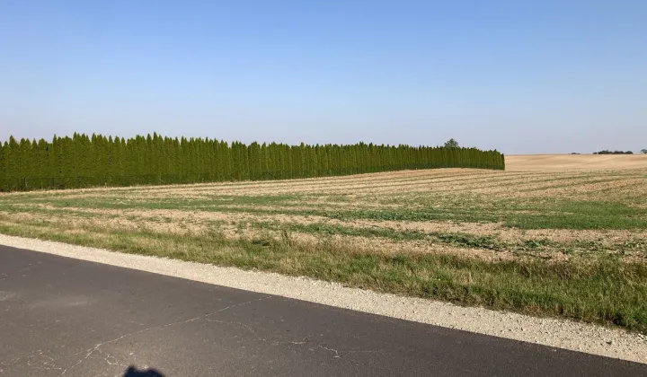 Działka budowlana Góra, ul. Długa