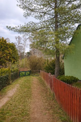 Działka rekreacyjna Sierosław. Zdjęcie 2