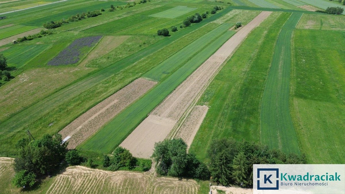 Działka inwestycyjna Kłodawa. Zdjęcie 12