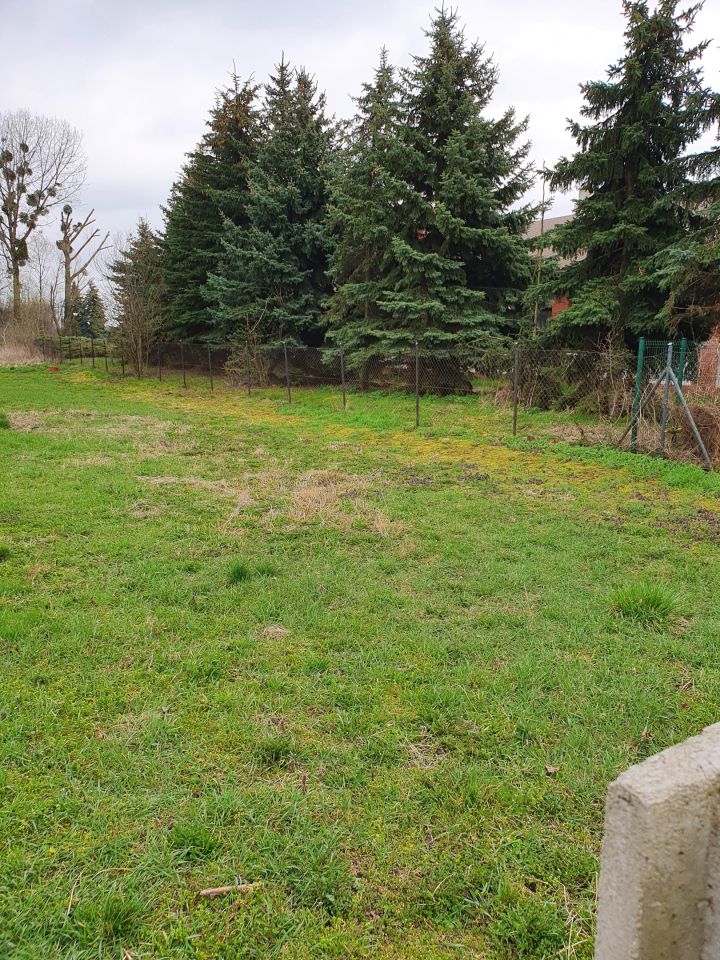 Działka budowlana Czerlejno, ul. Kostrzyńska. Zdjęcie 8