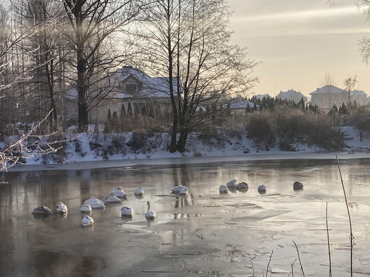 Działka budowlana Michałów-Grabina, ul. Wierzbowa. Zdjęcie 18