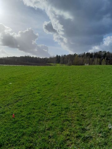 Działka budowlana Kosy. Zdjęcie 1