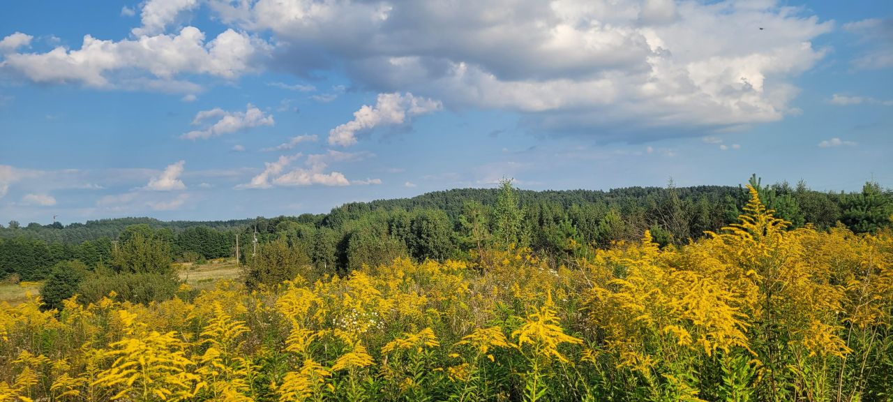 Działka budowlana Bogdany. Zdjęcie 8