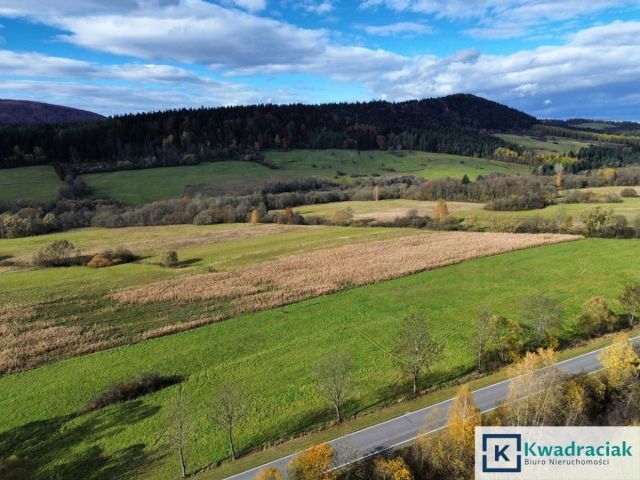 Działka rolna Daliowa. Zdjęcie 12