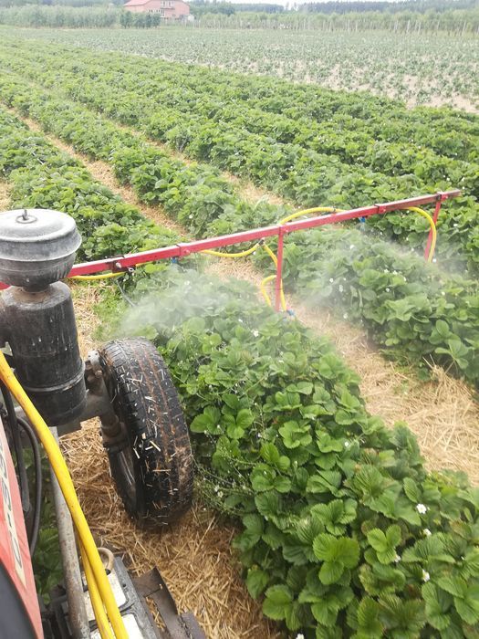 Działka rolna Jastrzębia Stara