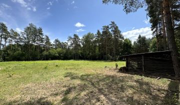 Działka budowlana Dzikie-Kolonia