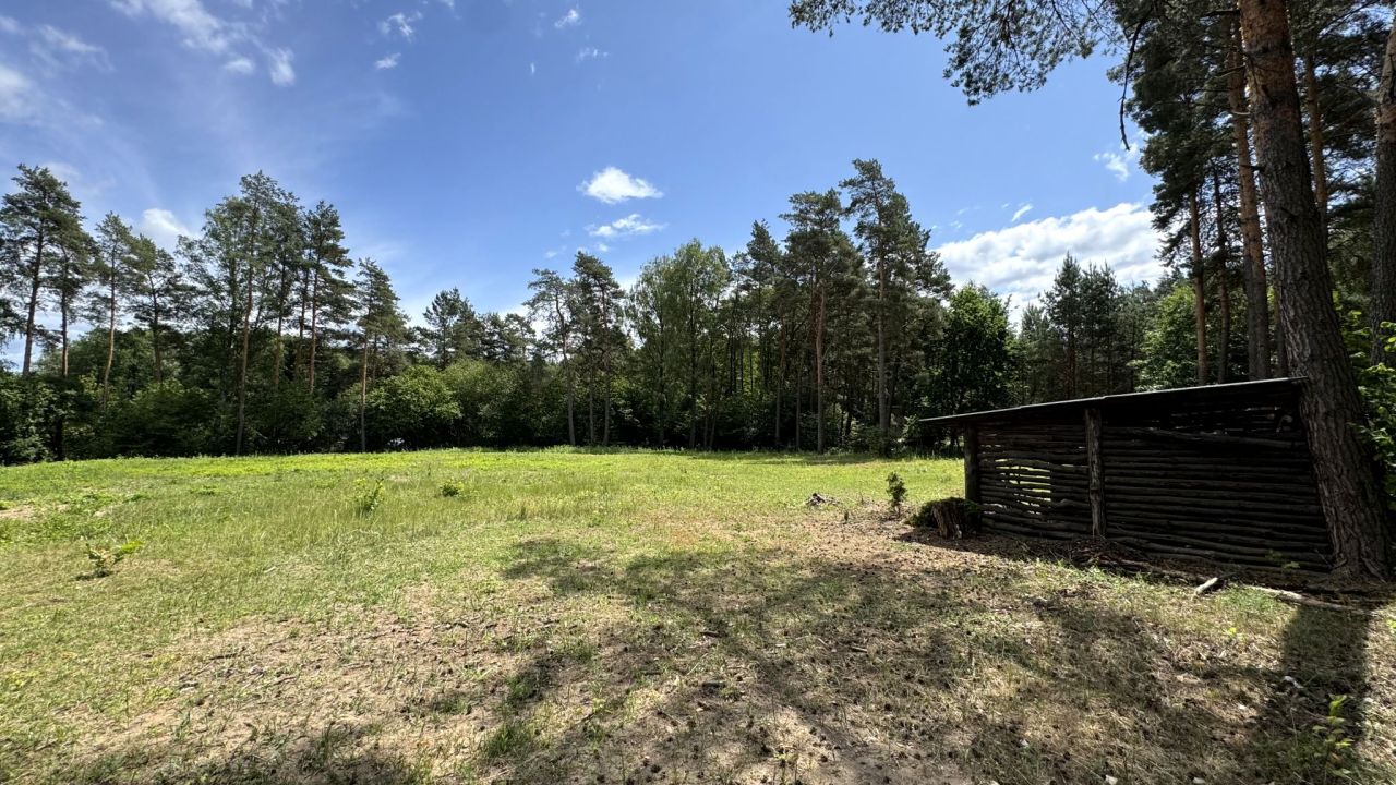 Działka budowlana Dzikie-Kolonia. Zdjęcie 2