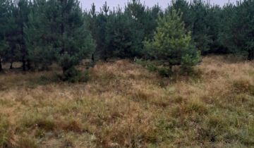 Działka rolna Rekownica