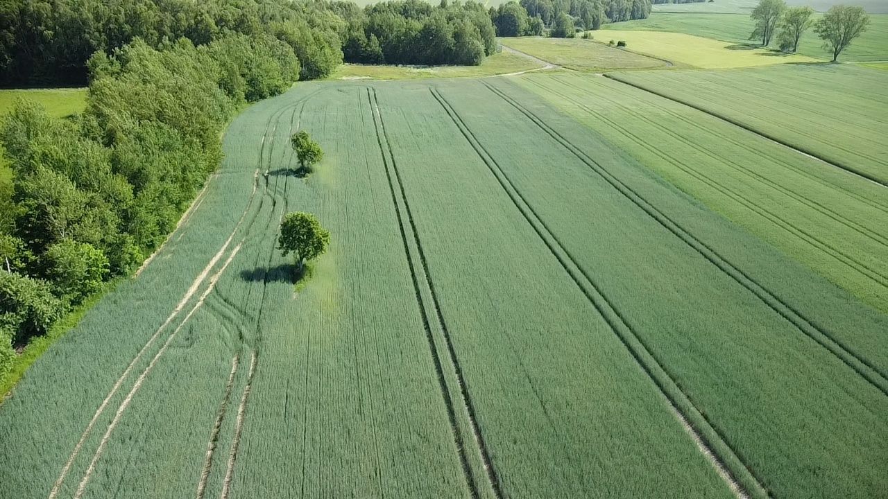 Działka siedliskowa Ostrowiec. Zdjęcie 7