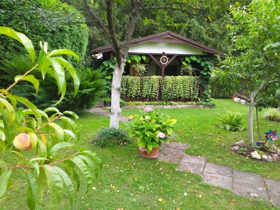 Działka rod Biedrusko. Zdjęcie 4