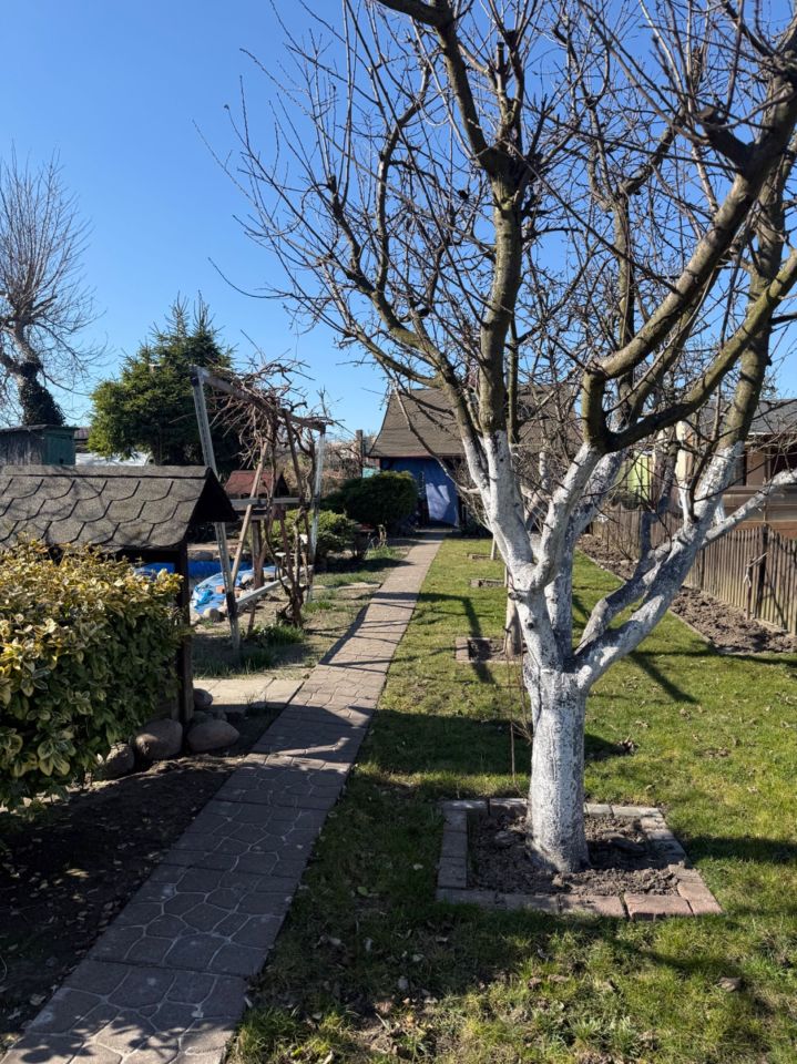 Działka rod Głogów, ul. Generała Władysława Sikorskiego. Zdjęcie 2