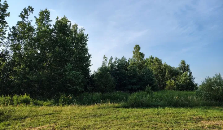 Działka budowlana Krakowiany, ul. Złota