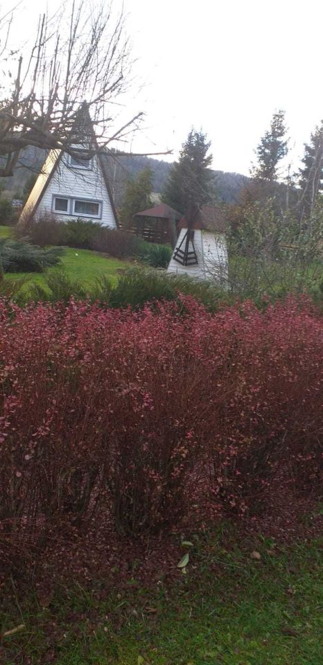 gospodarstwo Krościenko. Zdjęcie 4