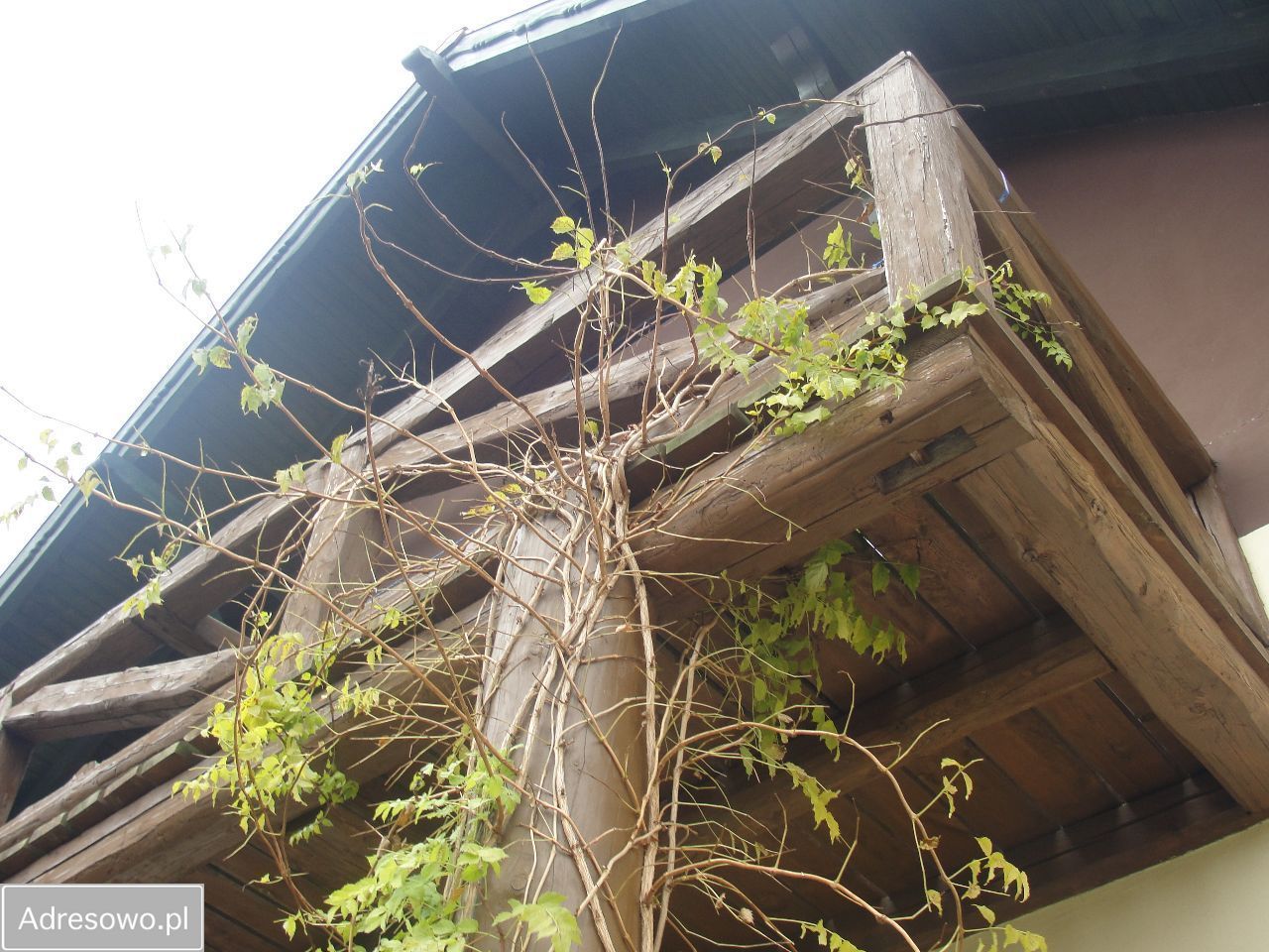 dom wolnostojący Stegna. Zdjęcie 16