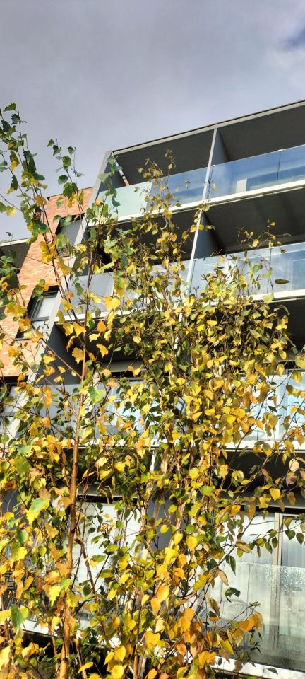 Mieszkanie 1-pokojowe Kołobrzeg, ul. Henryka Sienkiewicza. Zdjęcie 12