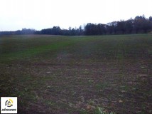 Działka budowlana Jastków. Zdjęcie 1