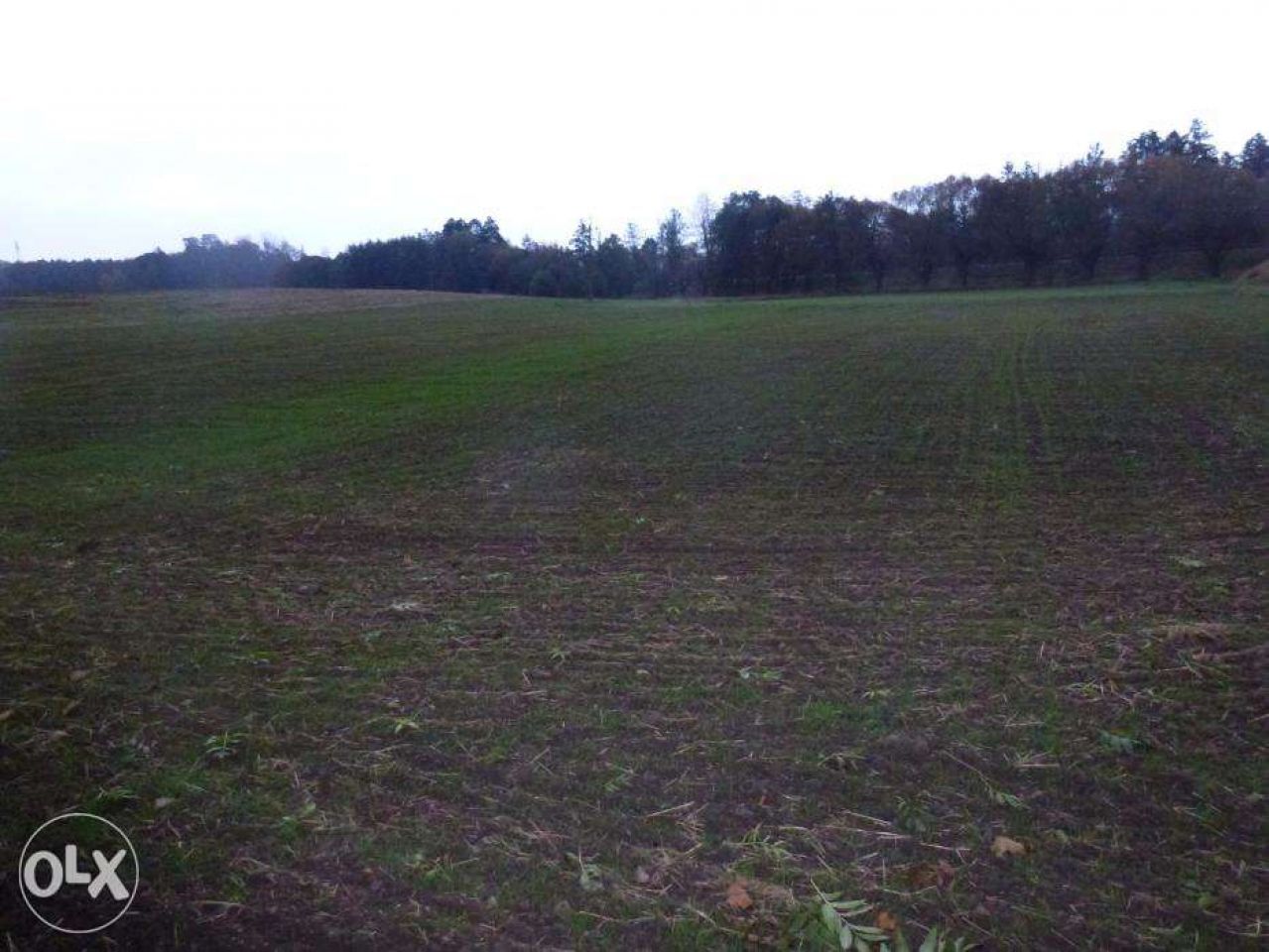 Działka budowlana Jastków. Zdjęcie 2