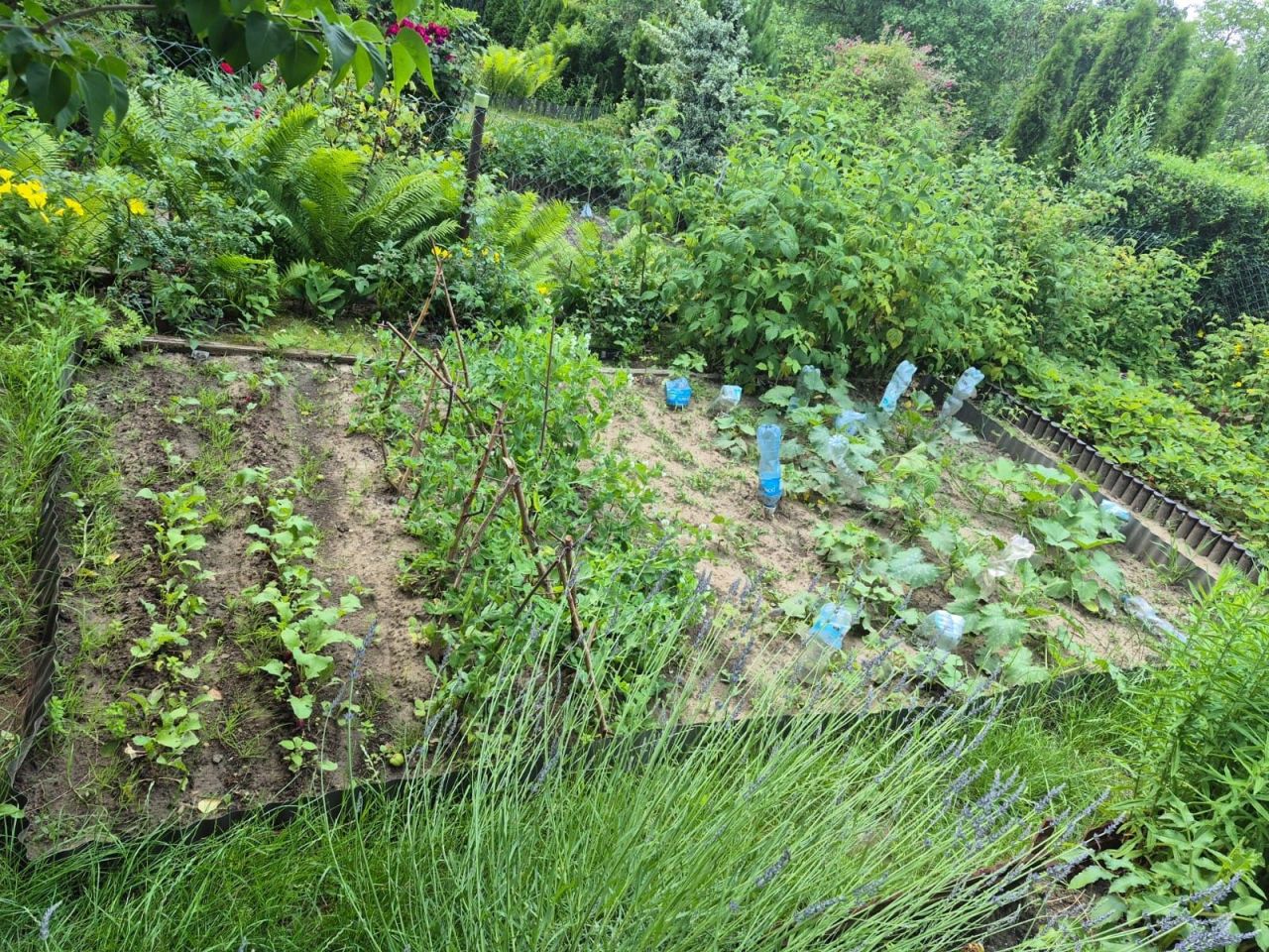 Działka rod Będzin Górki Małobądzkie. Zdjęcie 8