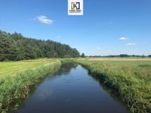 Działka budowlana Borówek. Zdjęcie 4