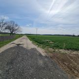 Działka rolno-budowlana Rzeczyca. Zdjęcie 2