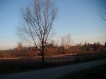 Działka rolno-budowlana Węgrce Panieńskie Ku Dębianom. Zdjęcie 2