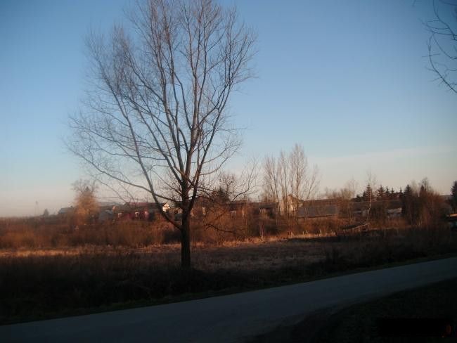 Działka rolno-budowlana Węgrce Panieńskie Ku Dębianom. Zdjęcie 3