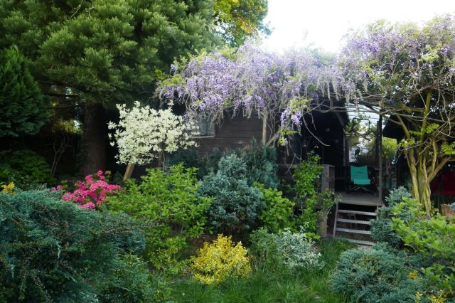 Działka rod Szczecin Warszewo. Zdjęcie 1