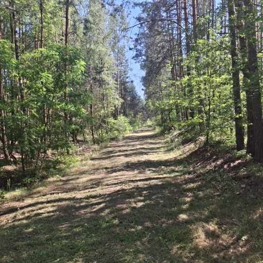 Działka inna Ostrowiec Świętokrzyski Koszary, ul. Bałtowska. Zdjęcie 1