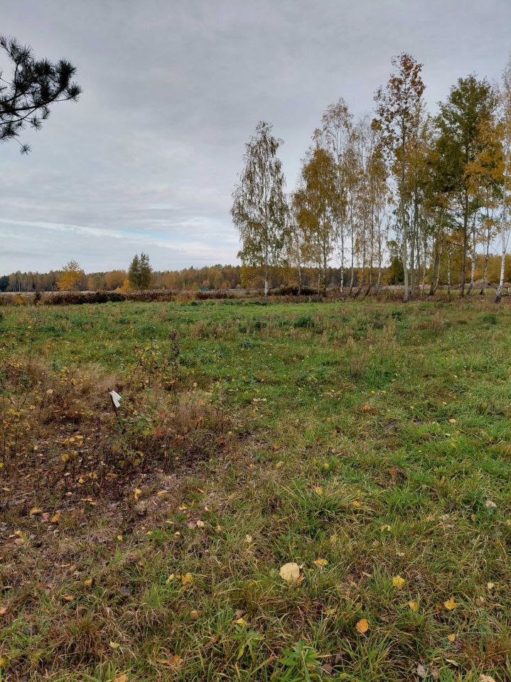 Działka budowlana Bednary. Zdjęcie 4