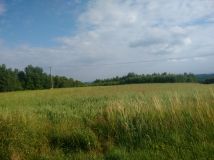 Działka budowlana Glinik Średni Kamieniec. Zdjęcie 1