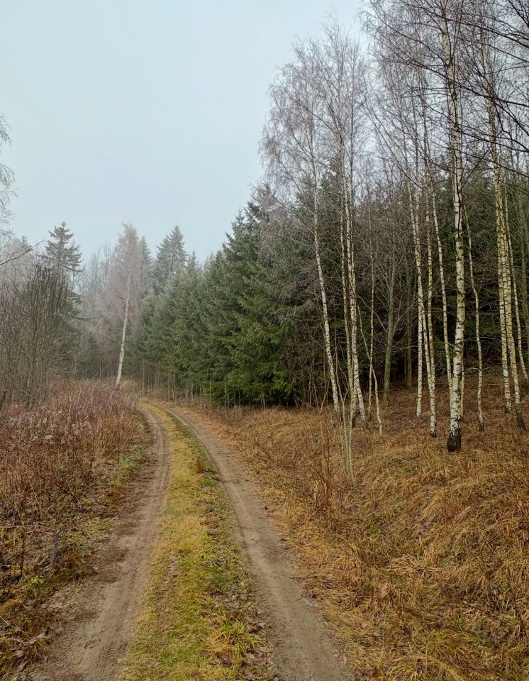 Działka leśna Kozaki. Zdjęcie 3