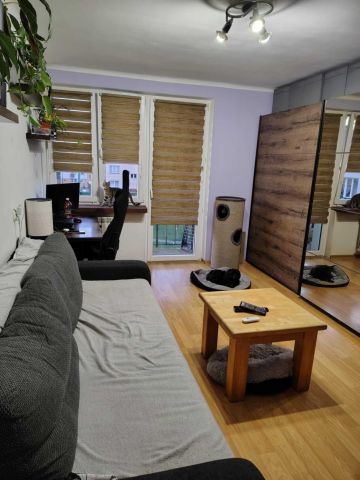 Mieszkanie 2-pokojowe Sochaczew Boryszew Pierwszy, ul. Żwirki i Wigury. Zdjęcie 1