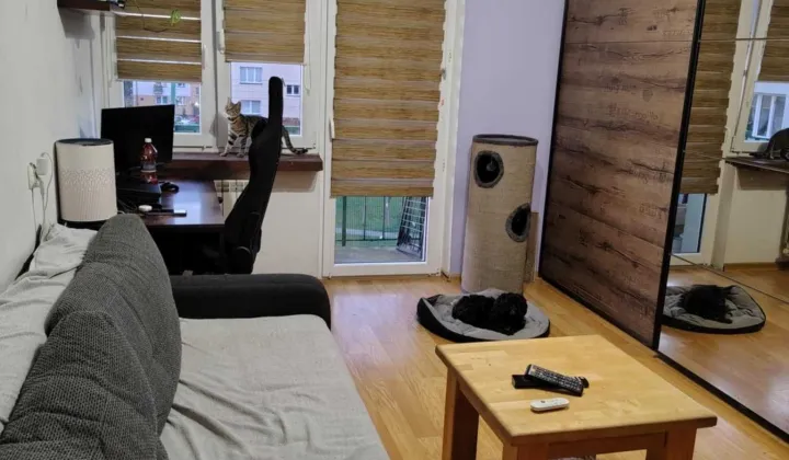 Mieszkanie 2-pokojowe Sochaczew Boryszew Pierwszy, ul. Żwirki i Wigury