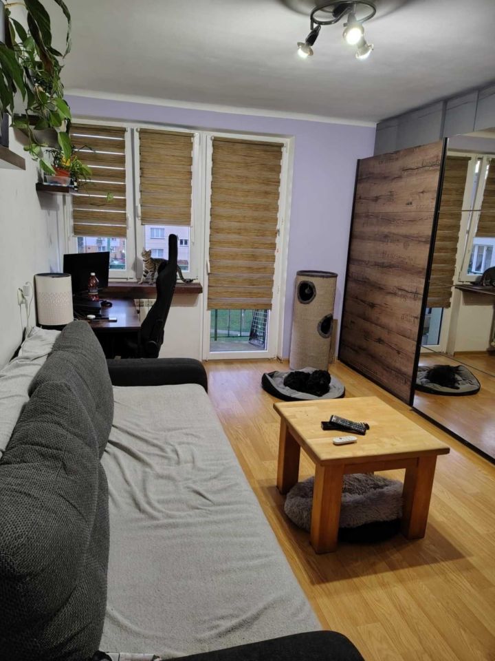 Mieszkanie 2-pokojowe Sochaczew Boryszew Pierwszy, ul. Żwirki i Wigury